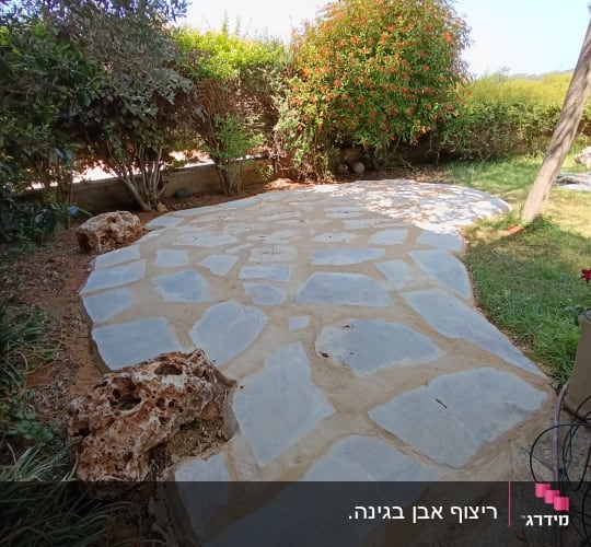 שביל אבנים בגינה עם צמחייה מסביב